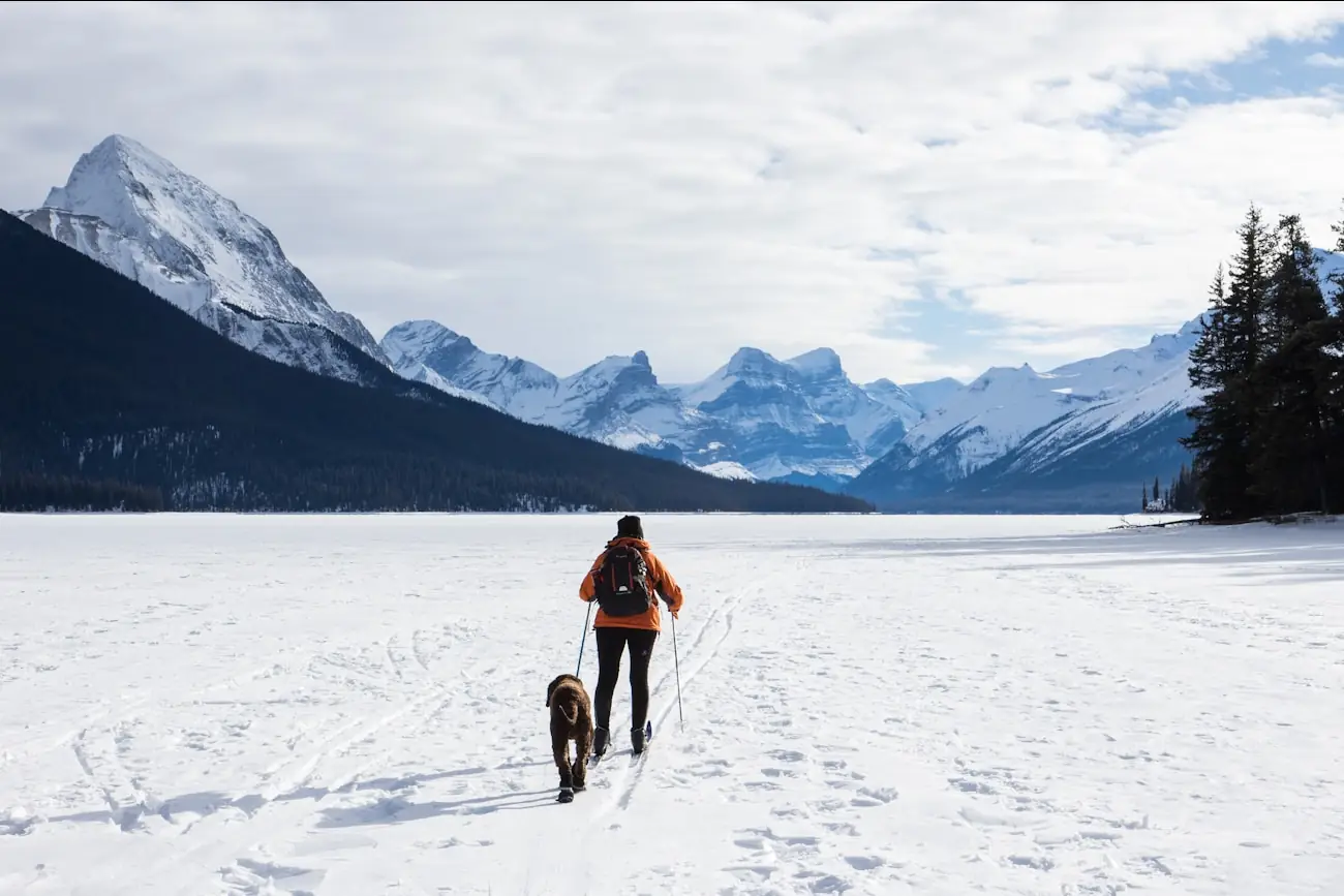 A lone traveller crossing a frozen lake with a dog, mountains in the background
